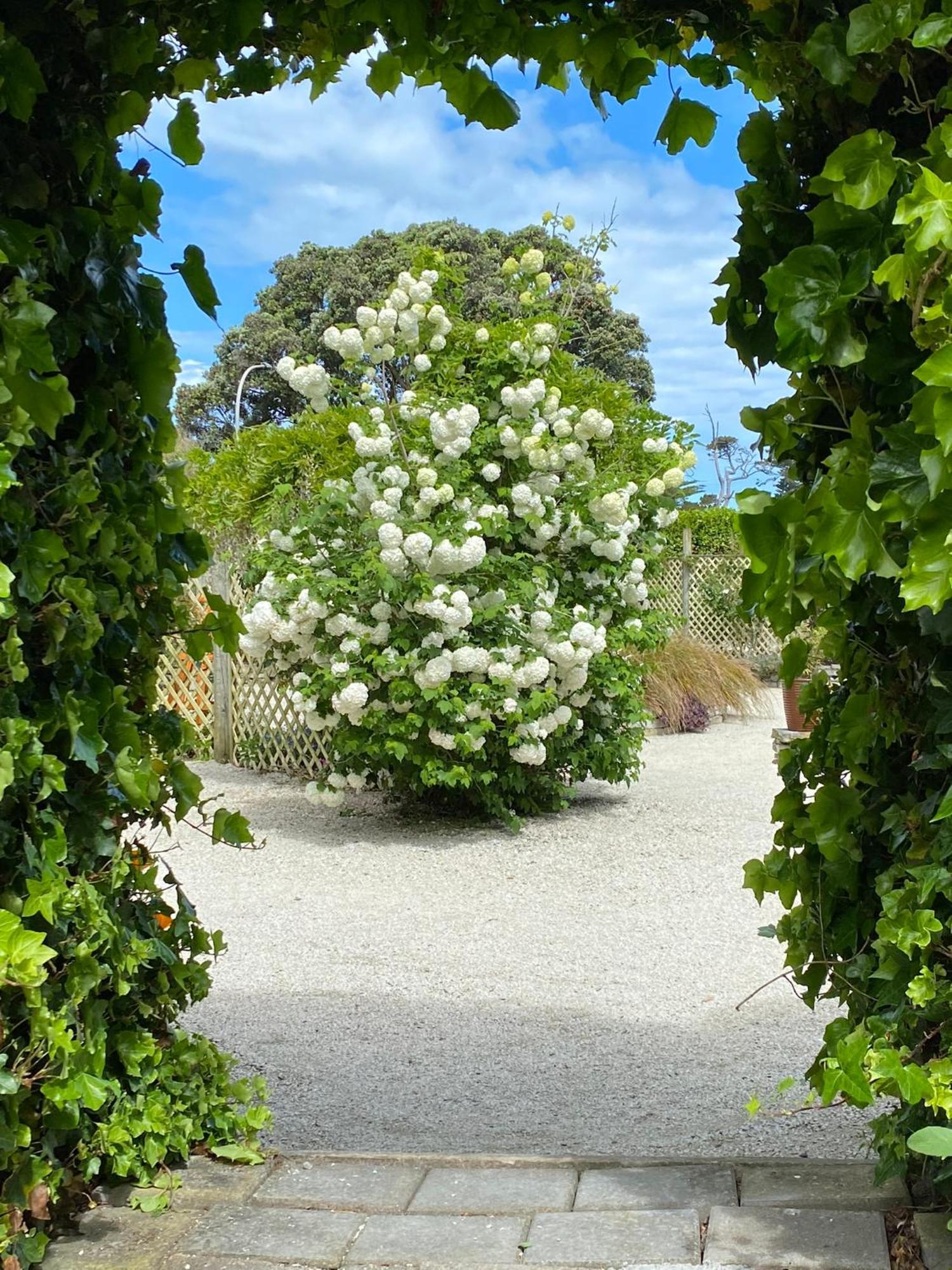 Glascroft Gardens - Bed & Breakfast Patea Eksteriør billede